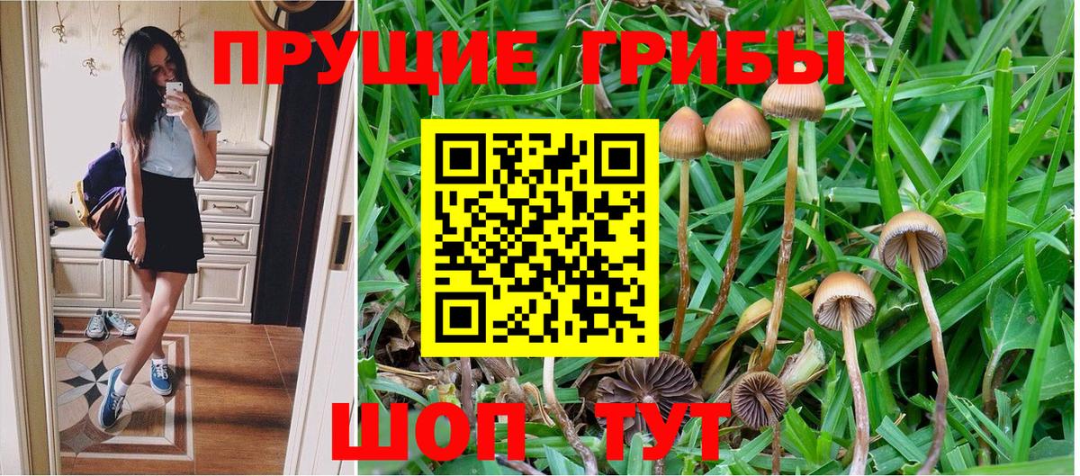 что такое   Вход с VPN  Псилоцибиновые грибы GOLDEN TEACHER  Конаково  Галлюциногенные грибы мицелий 